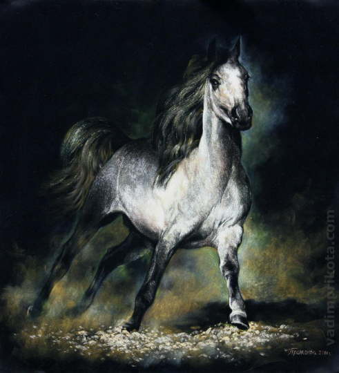 An Arabian Horse